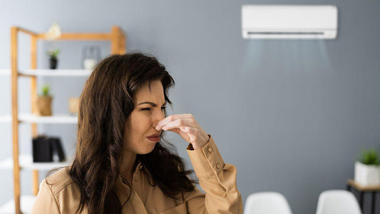 Air Conditioner Problem 6: AC Smells Bad???
